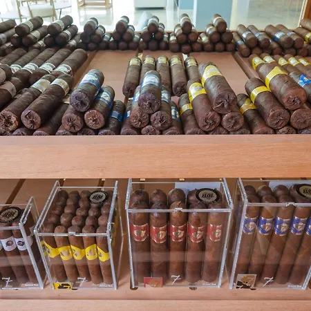 Отель Malibu Foz - La Maison Younan Фигейра-да-Фош