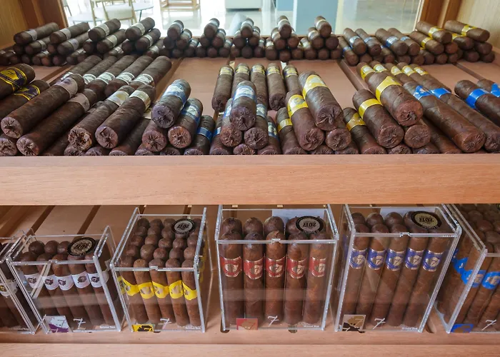 Szálloda Malibu Foz - La Maison Younan Figueira da Foz