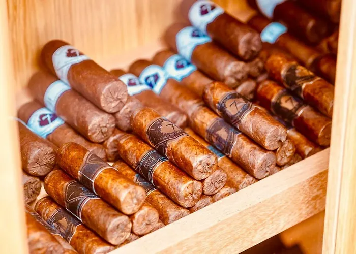 Szálloda Malibu Foz - La Maison Younan Figueira da Foz